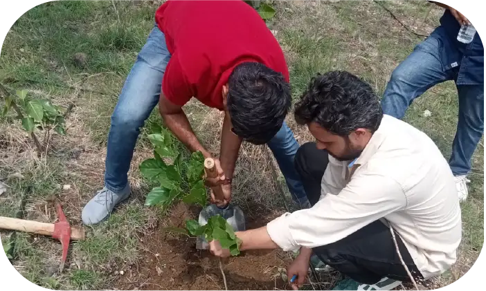 Team inspecting newly planted trees at plantation site